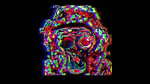 gorilla tag warning bot.