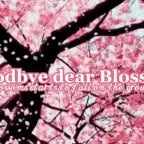 Recording 08/24/25 15:27:12