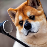 deep voice