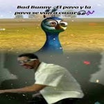 El Pavo y la Pava Bad Bunny IA
