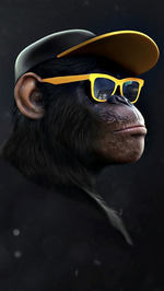 macaco morreu no fio estourado