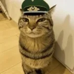 as long as it doesn bother master (copy)