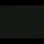 Check this out (sped up)