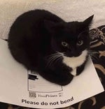 So, you're the punk I've heard about