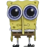 SHADOW WIZARD MONEY GANG