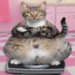 xiao ling intense music