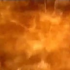 Astro parasit affected