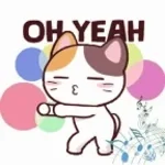 Recording 02/10/26 14:08:25