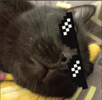 mi hanno dato una multa