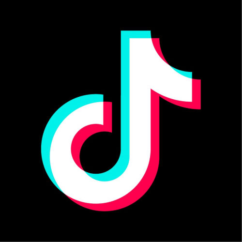 SnapTik 7106773448017399067