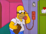 Homer Simpson : The Simpsons Nah