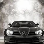 TERI BEHEN CHUDH JAYE 2.0