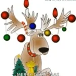 Recording 11/12/25 19:15:44