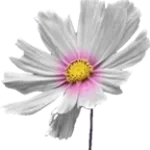 Undertaker Bell Sound Effect