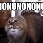 nonoonono