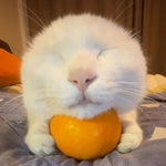 Thank you for the happiest year of my likfe