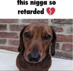 islam world flag animation but it's earrape