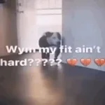 WDYM THE FIT IS NOT HARD