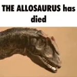 Never seen such bull-