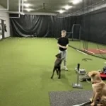 Recording 02/13/26 17:46:20