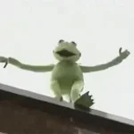Kermit depressed and bout to jump