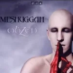 Bleed-Meshuggahpart2