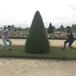 bomen zijn relaxed - Luuk en Gijs [hDfu0hbLPT8] (copy)