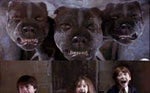 Harry Potter 1 - dogs groaning
