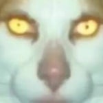 monday left me broken