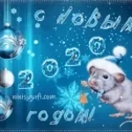 WhatsApp-Video-2026-04-04-at-9.30.38-PM (copy)