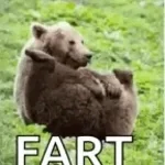 fart fart