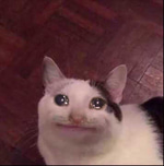 discord ping loud