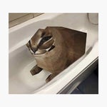 you know who else suffers from dementia??