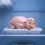 Кто опять положил курицу на верхнюю полку - Sound
