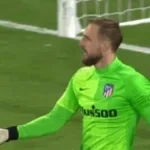 QUE PARADON DE OLBAK