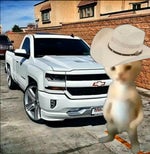 Chevrolet 4x4 saturado