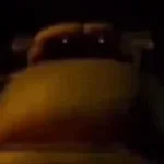 Freddy backshots inf ig