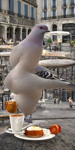 Hello lady what's your name