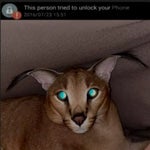 Raise a Floppa OST Remix