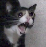 U II A IO UI A I O x Y