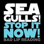 Stop it Now - Seagulls