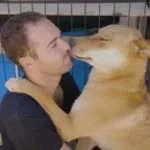 Recording 03/20/26 19:59:45