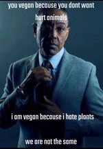 Xiao Ling Music ( Perfect Loop )