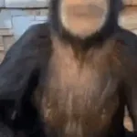 ReelAudio-84542 (copy)