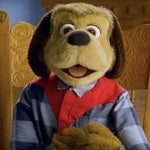 TURN OFF THE FRUITCAKE DOG!!!