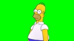Homer Simpson : The Simpsons ok