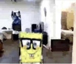 Dr ress- lebron james hairline