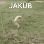 JAkub