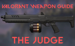 Valorant Weapon Judge