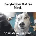 The Other Was my good friend! Preston Always nice to me